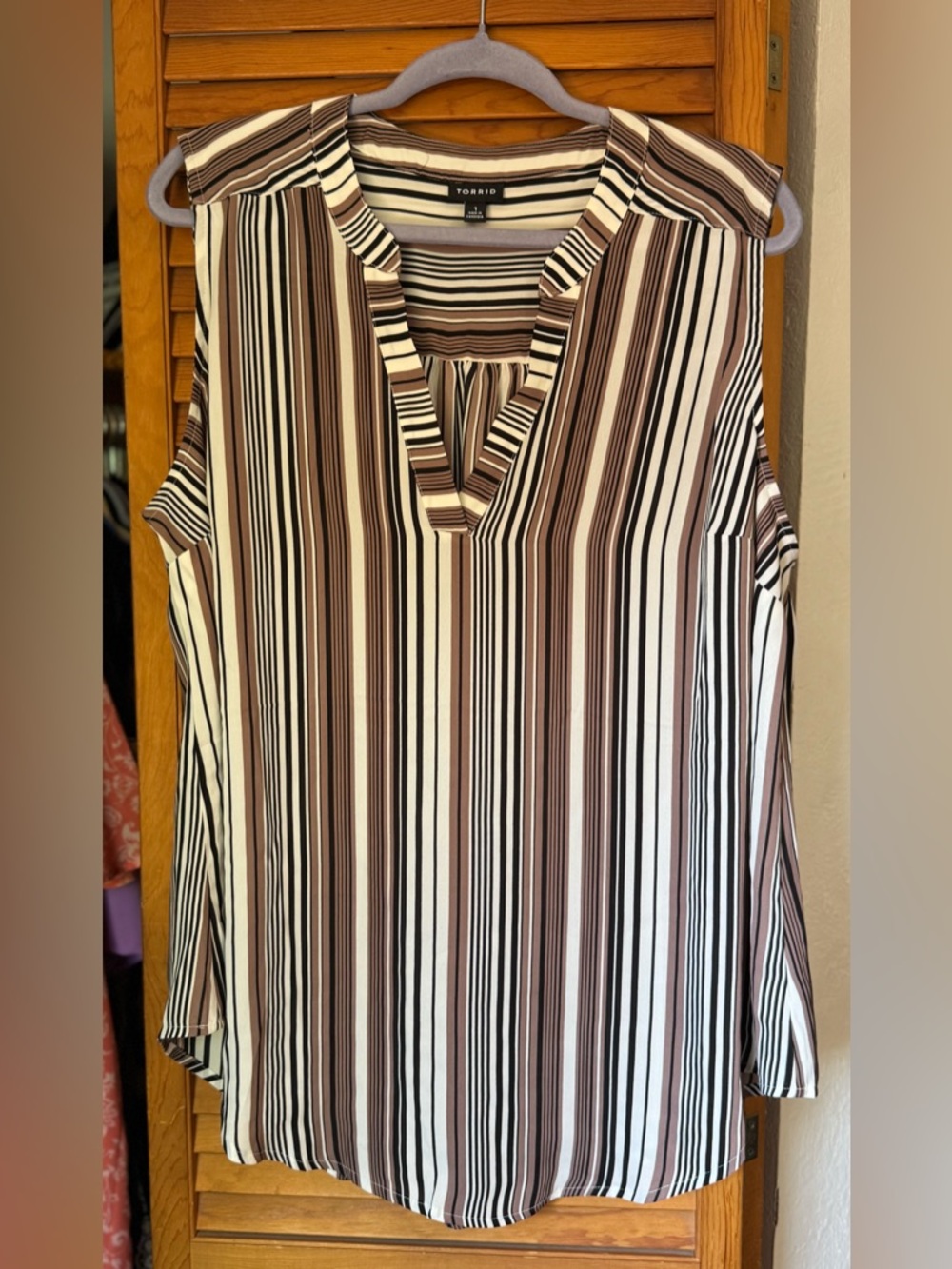 NWOT Torrid Georgette Pull-Over Tunic Top